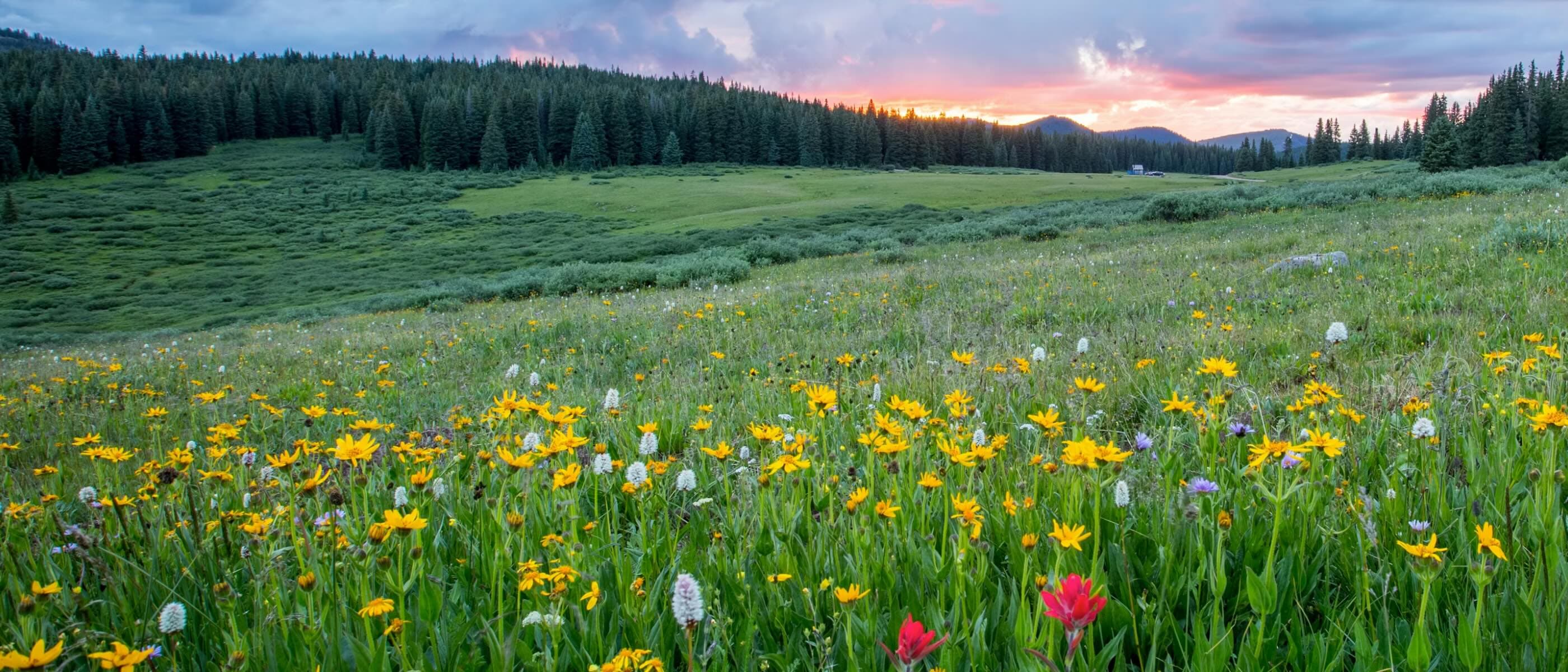 What's Happening This Week in the Gallatin Valley: April 1 – April 12, 2026